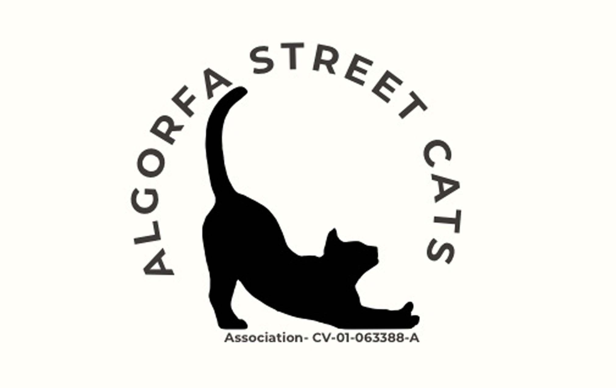 Algorfa-Street-cats